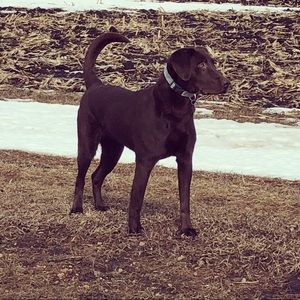 Meet your Posher, Renae